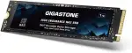 Gigastone SSD 1 TB M.2 NAS SSD 24/7 High Endurance Cache für Netzwerkspeicher, Business-Rechenzentrum, Personal Cloud, PCIe 3.0, NVMe, NAS, internes Solid-State-Laufwerk