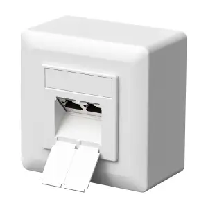 FGB CAT6a Universal Netzwerkdose Anschlussdose Datendose Netzwerkbuchse 2 Port R