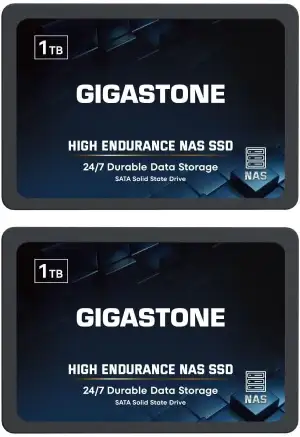 Gigastone NAS SSD 1TB SSD Festplatte (2er-Pack) TLC Hohe Dauerhaltbarkeit SSD fü