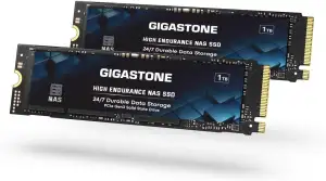 Gigastone SSD 1 TB (2er-Pack) M.2 NAS SSD 24/7 High Endurance Cache für Network 